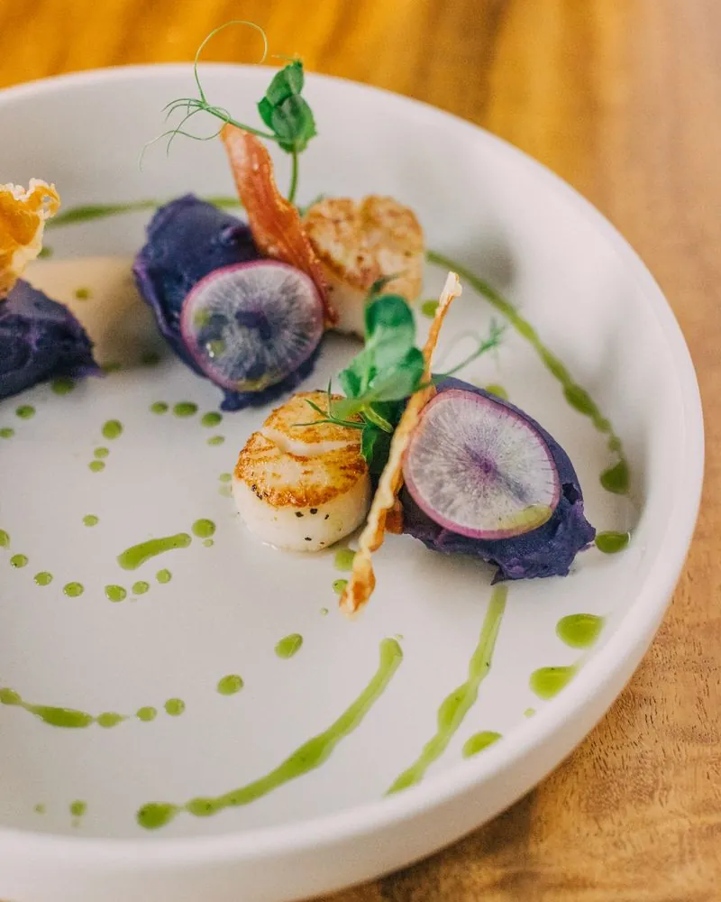 Seared scallops with purple potato, radish, and herb oil